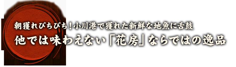 朝獲れぴちぴち！