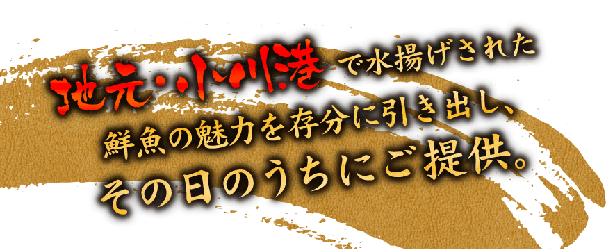 地元・小川港で水揚げされた鮮魚の魅力を存分に引き出し、その日のうちにご提供。