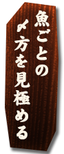 魚ごとの〆方を見極める