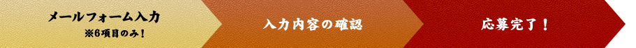 入力内容の確認.応募完了