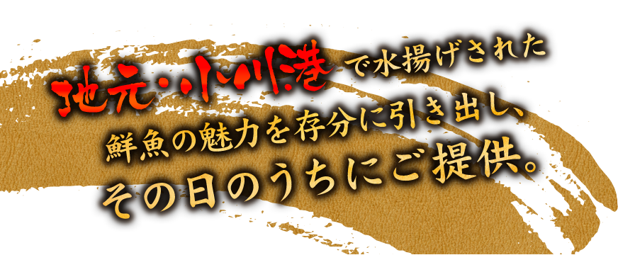 地元・小川港で水揚げされた鮮魚の魅力を存分に引き出し、その日のうちにご提供。
