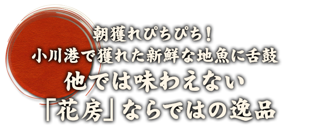 朝獲れぴちぴち！