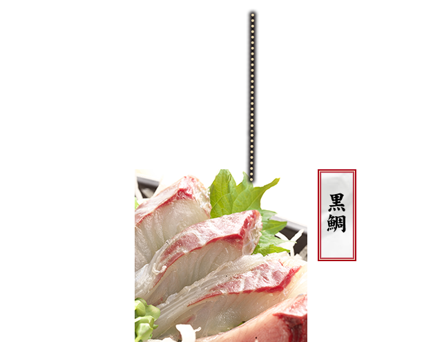 黒鯛