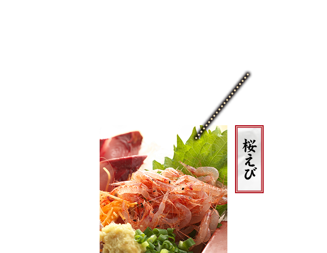 桜えび