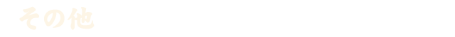 その他