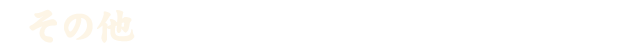 その他