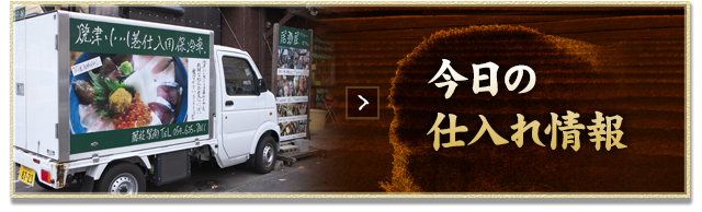 今日の仕入れ情報