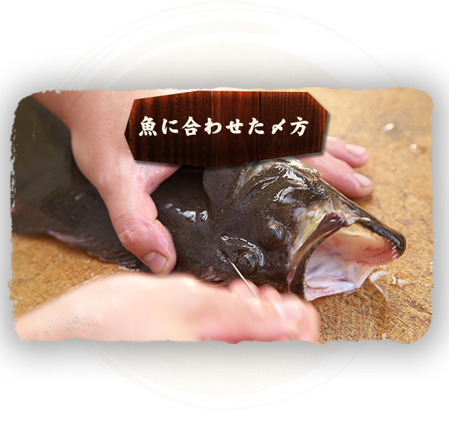 魚に合わせた〆方