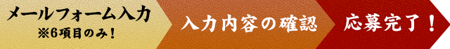 入力内容の確認.応募完了